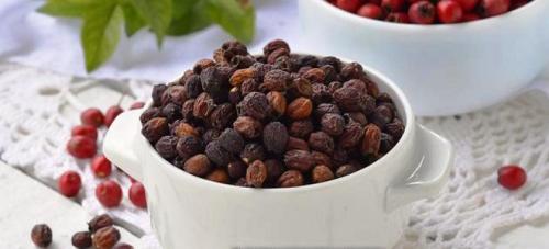 Как правильно сушить боярышник в электросушилке. Как сушить боярышник в домашних условиях в духовке, в электросушилке