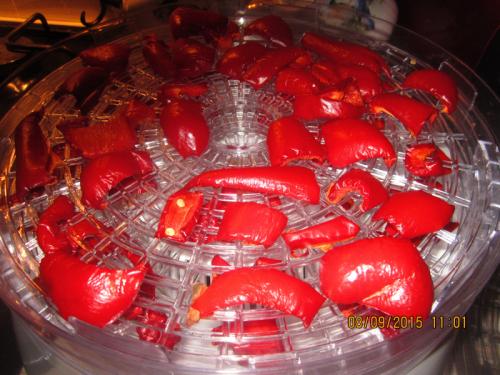 Болгарский перец сушить на зиму. Простой рецепт приготовления с фото сушеного в электросушилке сладкого болгарского перца на зиму 01