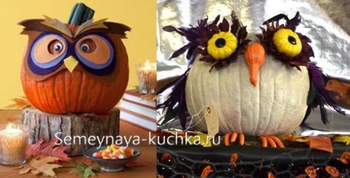 Поделки из тыквы своими руками. Поделки из ТЫКВЫ (84 фото) для сада и школы.