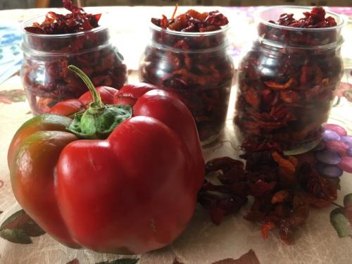 Сушка перца на солнце. Что получится, если перец .. посушить?
