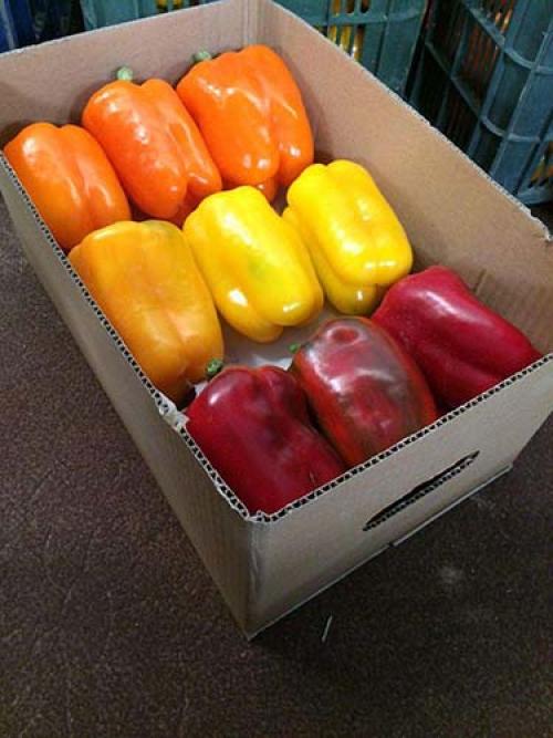 Болгарский перец сушить или заморозить. В свежем виде