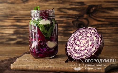Острая краснокочанная капуста. Простой рецепт «классического» маринада