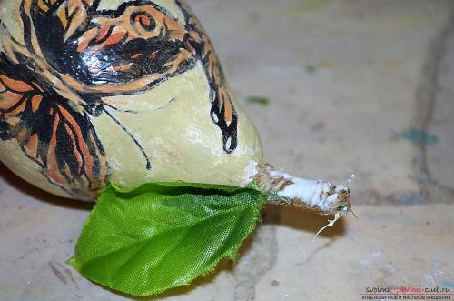 Как высушить декоративную тыкву. Как сушить декоративные тыквы 11