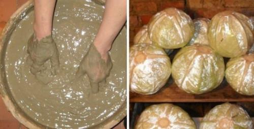 Как хранить раннюю капусту. Как правильно хранить капусту