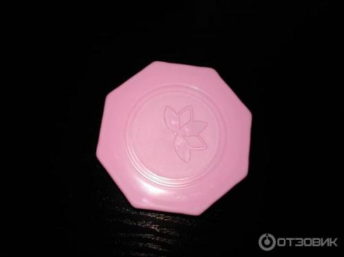 Если дома завелась моль, что делать. Что делать при появлении моли в квартире 04