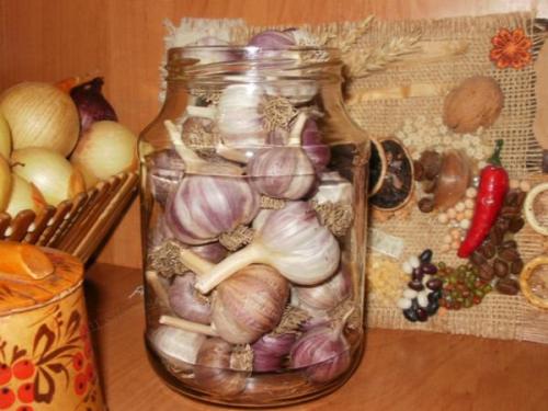 Можно ли замораживать чеснок. Как заморозить чеснок 11 Можно ли замораживать чеснок. Как заморозить чеснок 11