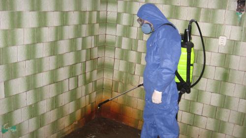 Откуда берутся тараканы в общежитии. Тараканы в общежитии, как избавиться от надоедливых, опасных прусаков