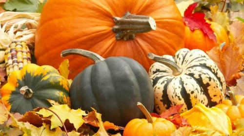 Замороженная тыква. Можно ли замораживать тыкву в морозилке?