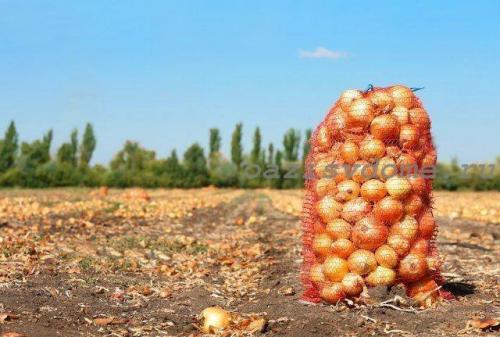 Как хранить лук. Где и как правильно хранить лук - способы долгого хранения лука репчатого и порея