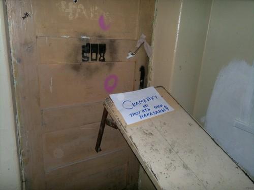 Откуда берутся тараканы в общежитии. Тараканы в общежитии, как избавиться от надоедливых, опасных прусаков