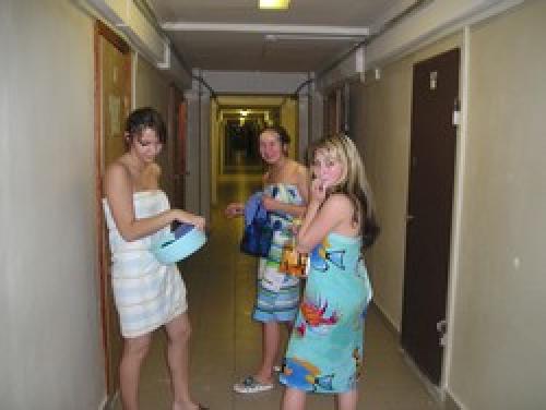 Откуда берутся тараканы в общежитии. Тараканы в общежитии, как избавиться от надоедливых, опасных прусаков