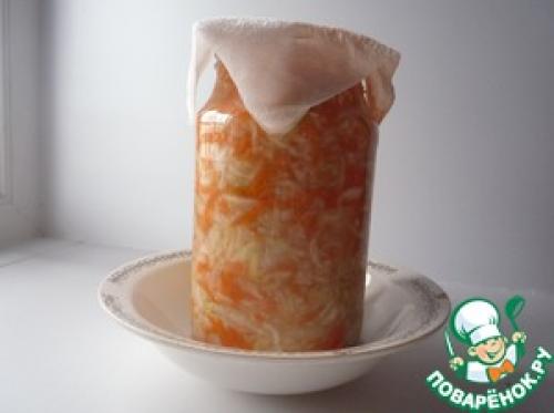 Капуста квашеная на зиму рецепты очень вкусно с яблоками. Капуста квашеная с яблоком и морковью