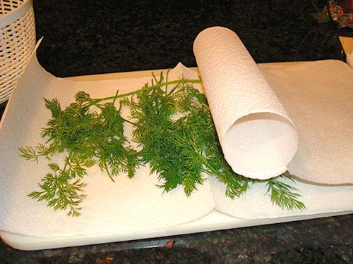 Как сохранить укроп на зиму. Как сохранить свежий укроп на зиму?