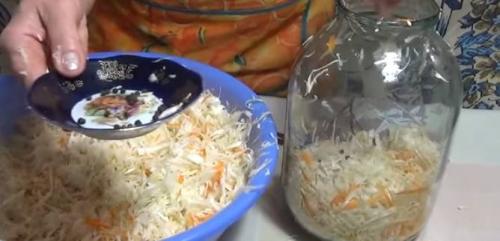 Квашеная капуста с яблоками в рассоле. Очень вкусная квашеная капуста в 3 литровых банках в рассоле без уксуса