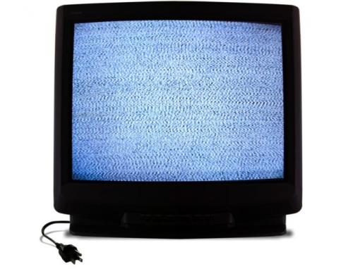 Откуда появляются тараканы в квартире. Поставщики тараканов