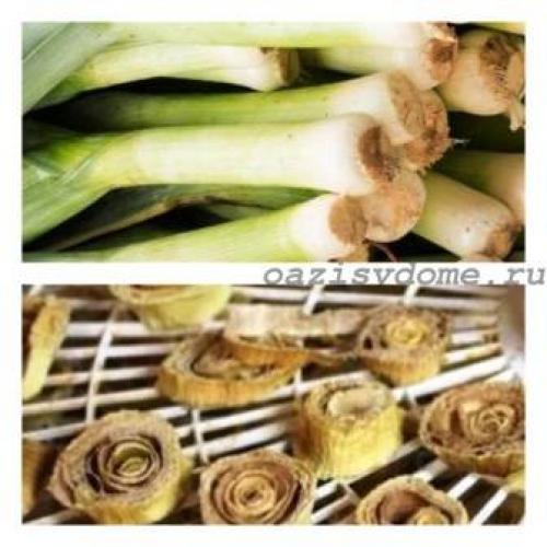 Как хранить лук. Где и как правильно хранить лук - способы долгого хранения лука репчатого и порея