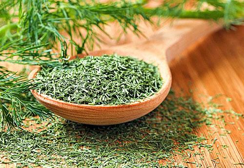 Как сохранить укроп на зиму. Как сохранить свежий укроп на зиму?