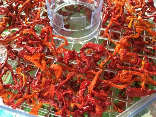 Сушка перца на солнце. Что получится, если перец .. посушить?