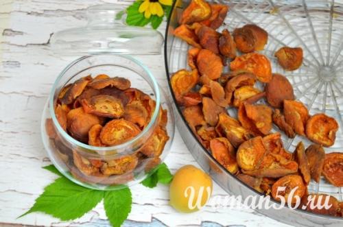 Как сушить абрикосы в духовке с конвекцией. Как сушить абрикосы на курагу в электросушилке. Много фото!