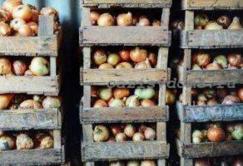 Как хранить лук. Где и как правильно хранить лук - способы долгого хранения лука репчатого и порея