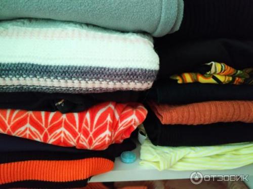 Если дома завелась моль, что делать. Что делать при появлении моли в квартире 10