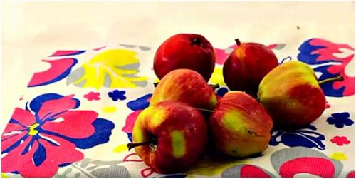 Яблоки посушить в духовке. Как сушить яблоки в домашних условиях —, как правильно сушить в духовке, микроволновке, на солнце