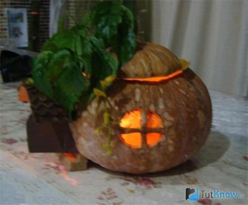 Как подготовить тыкву для поделки. Подготовка овоща 02