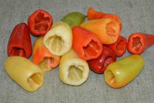 Как заморозить перцы на зиму для фаршировки в морозилке. Как заморозить перец на зиму в морозилке 17