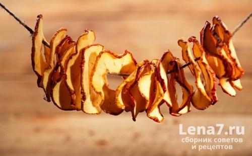 Как сушить яблоки на зиму в духовке. Сушка яблок естественным способом