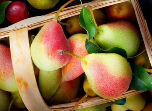 Груши сушеные в духовке. Рецепты 03