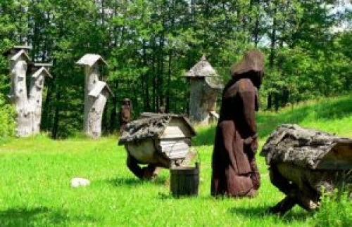 Как бороться с восковой молью на пасеке. Народные меры борьбы