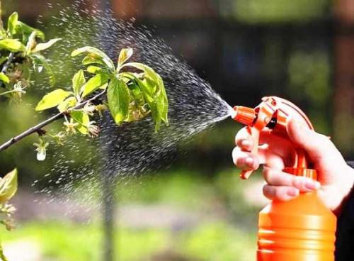 Борная кислота для чего нужна. Что такое борная кислота 12 Борная кислота для чего нужна. Что такое борная кислота 12