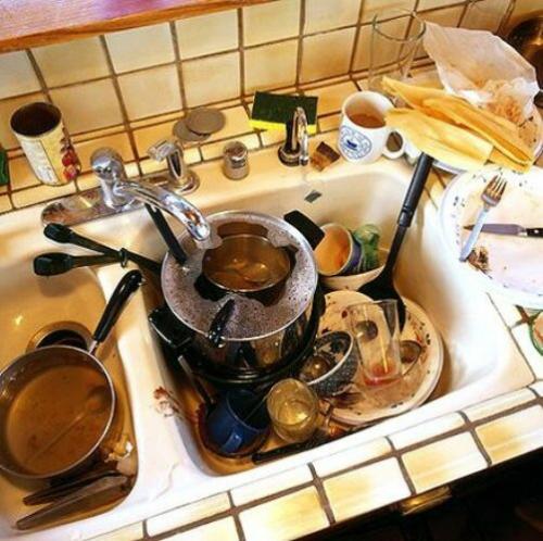Как избавиться от тараканов навсегда в квартире в домашних условиях. Создание для тараканов неблагоприятных условий