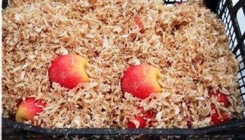 Как хранить яблоки на зиму в квартире. Как сохранить яблоки до весны или даже до следующего урожая свежими – лучшие способы хранения