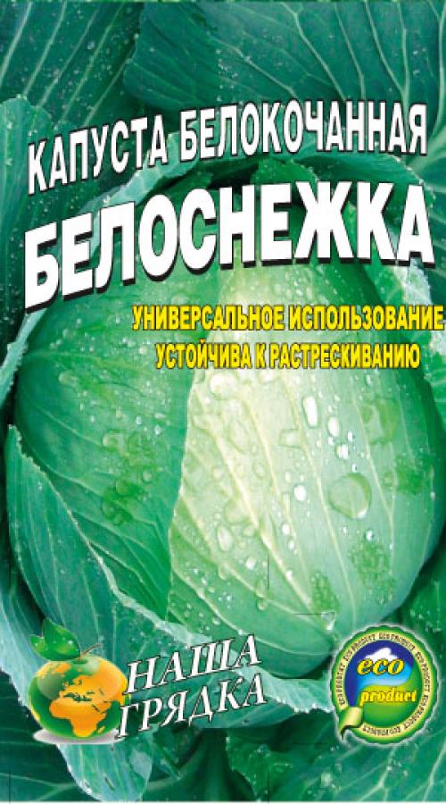 Поздняя капуста. Поздние сорта белокочанной капусты