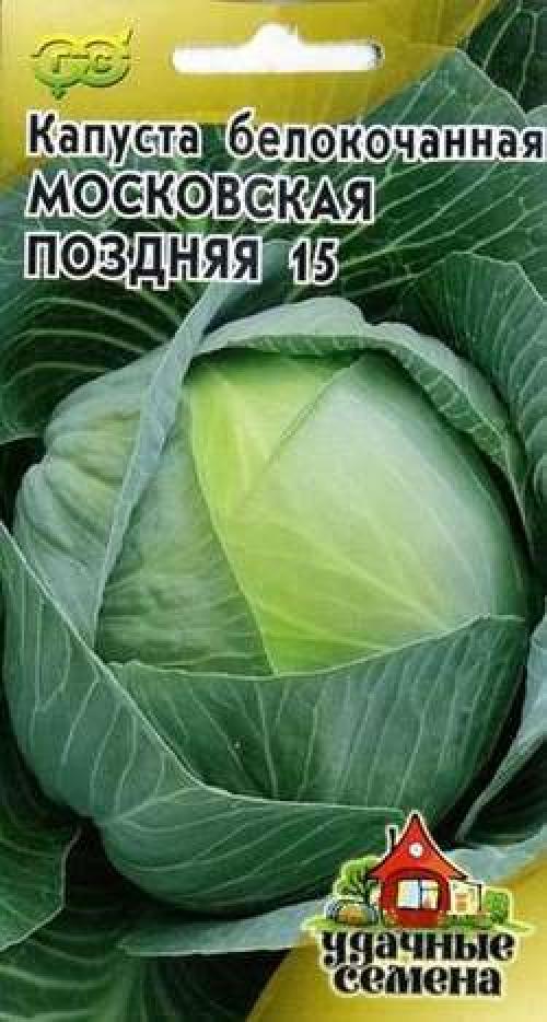 Поздняя капуста. Поздние сорта белокочанной капусты