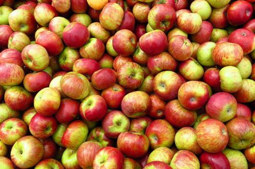 Как заморозить яблоки на зиму для пирогов.