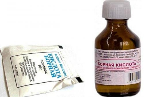 Борная кислота от тараканов с картошкой. Борная кислота от тараканов – принцип действия и популярные рецепты