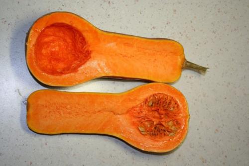 Тыква выращивание хранение. Как правильно заготовить семена тыквы для посадки?