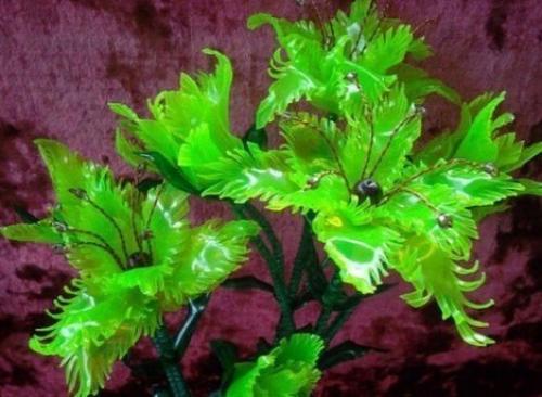 Цветы из пластиковых бутылок для сада 02