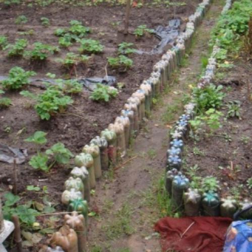 Как сушить яблоки в сушилке. Сушка яблок в духовке 13