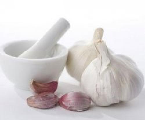 Срок годности настойки чеснока на водке. Как приготовить — 5 рецептов и схемы приема