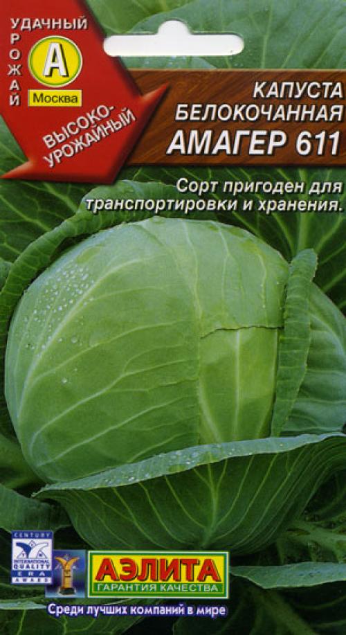 Поздняя капуста. Поздние сорта белокочанной капусты