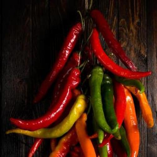 Как сохранить жгучий перец свежим на зиму. Как сохранить горький перец на зиму в домашних условиях в замороженном, сушеном или консервированном виде