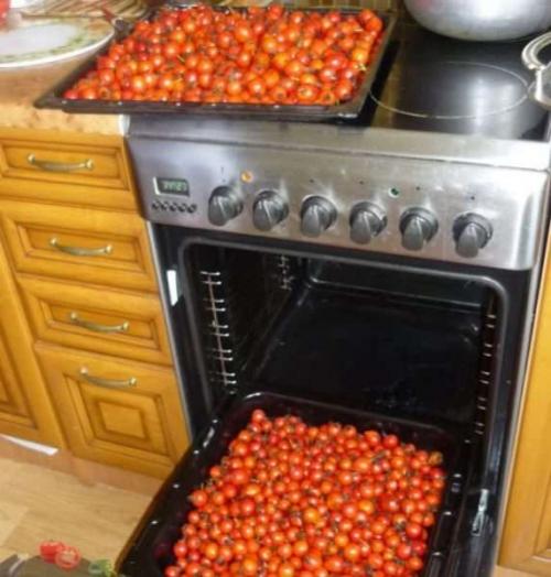 Нужно ли мыть шиповник перед сушкой. Как правильно сушить шиповник в домашних условиях: сушка плодов, листьев и цветов