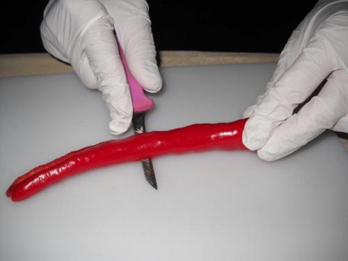 Сушка острого перца в духовке. Специфика сушки на зиму