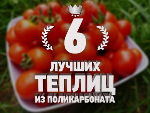 Как Выбрать теплицу из поликарбоната советы. Форма теплицы 05