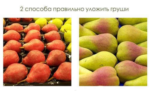Как сохранить груши на зиму. Как в домашних условиях сохранить свежими зимние сорта груш