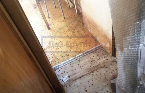 Ползут тараканы от соседей, что делать. Они могут появиться у вас двумя способами: 03