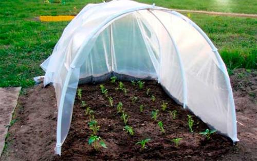 Мини парник из пластиковых труб. Парник из пластиковых труб своими руками: 4 идеи